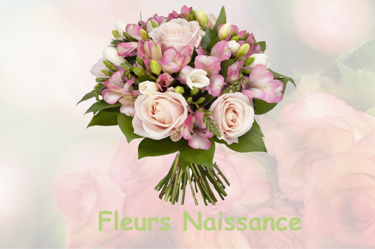 fleurs naissance HAURIET