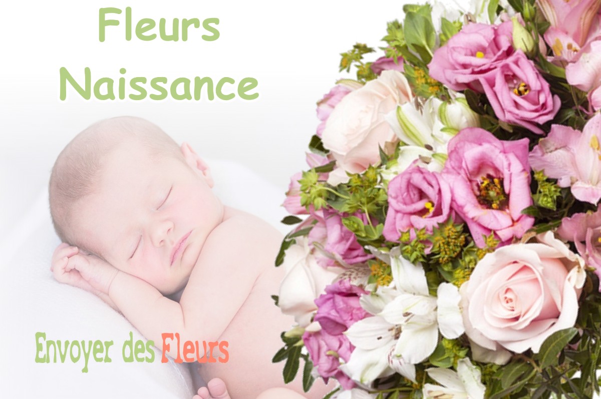 lIVRAISON FLEURS NAISSANCE à HAURIET